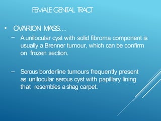 Comprehensive Guide to Intraoperative Histology and Cytology Techniques ...