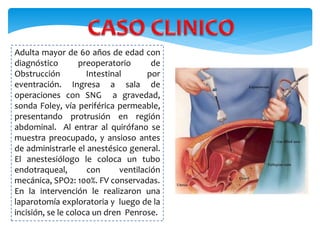 Adulta mayor de 60 años de edad con
diagnóstico preoperatorio de
Obstrucción Intestinal por
eventración. Ingresa a sala de
operaciones con SNG a gravedad,
sonda Foley, vía periférica permeable,
presentando protrusión en región
abdominal. Al entrar al quirófano se
muestra preocupado, y ansioso antes
de administrarle el anestésico general.
El anestesiólogo le coloca un tubo
endotraqueal, con ventilación
mecánica, SPO2: 100%. FV conservadas.
En la intervención le realizaron una
laparotomía exploratoria y luego de la
incisión, se le coloca un dren Penrose.