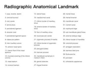 Intraoral radiographic anatomy