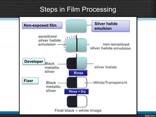 Steps in Film Processing
Non-exposed film
Developer
Fixer
Rinse
Rinse + Dry
Silver halide
emulsion
 