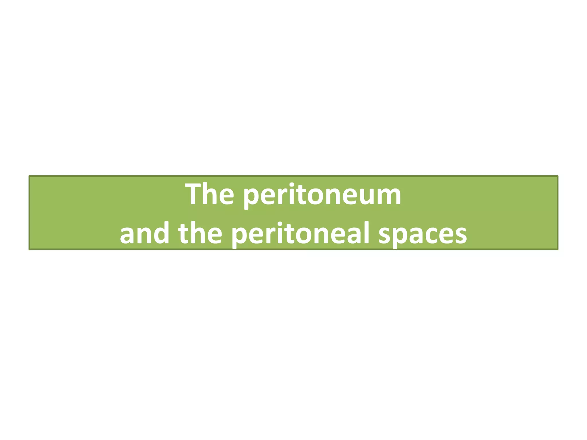 The peritoneum
and the peritoneal spaces
 