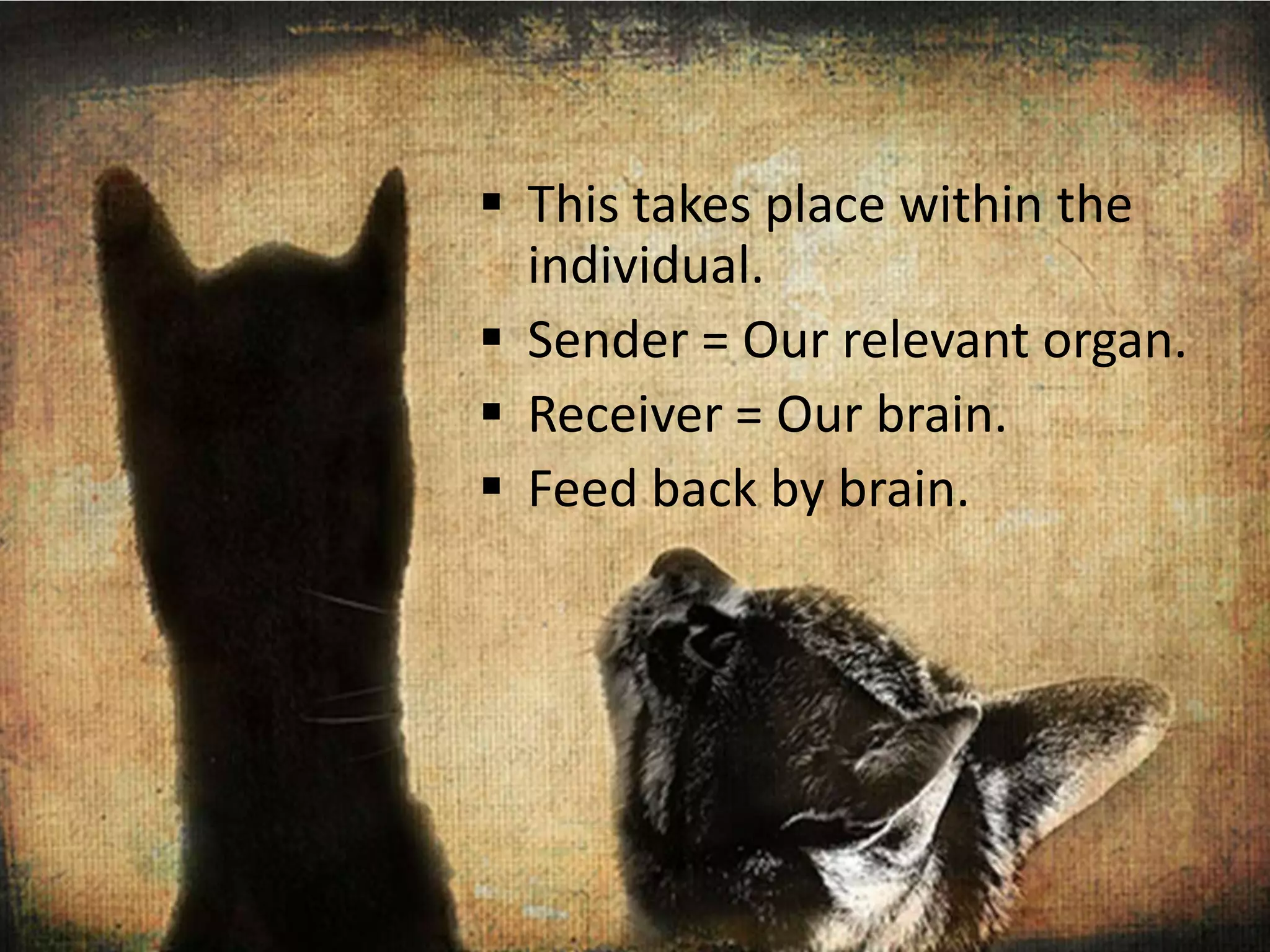  This takes place within the
  individual.
 Sender = Our relevant organ.
 Receiver = Our brain.
 Feed back by brain.
 