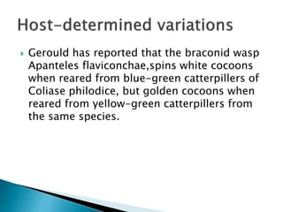  Gerould has reported that the braconid wasp
Apanteles flaviconchae,spins white cocoons
when reared from blue-green catterpillers of
Coliase philodice, but golden cocoons when
reared from yellow-green catterpillers from
the same species.
 