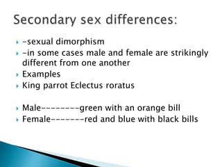  -sexual dimorphism
 -in some cases male and female are strikingly
different from one another
 Examples
 King parrot Eclectus roratus
 Male--------green with an orange bill
 Female-------red and blue with black bills
 