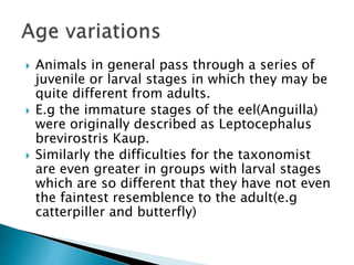  Animals in general pass through a series of
juvenile or larval stages in which they may be
quite different from adults.
 E.g the immature stages of the eel(Anguilla)
were originally described as Leptocephalus
brevirostris Kaup.
 Similarly the difficulties for the taxonomist
are even greater in groups with larval stages
which are so different that they have not even
the faintest resemblence to the adult(e.g
catterpiller and butterfly)
 