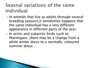  In animals that live as adults through several
breeding seasons,it sometimes happens that
the same individual has a very different
appearance in different parts of the year.
 In arctic and subarctic birds such as
Ptarmigans ,there may be a change from a
white winter dress to a normally coloured
summer dress .
 