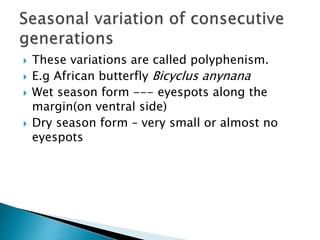  These variations are called polyphenism.
 E.g African butterfly Bicyclus anynana
 Wet season form --- eyespots along the
margin(on ventral side)
 Dry season form – very small or almost no
eyespots
 