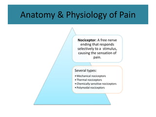 Anatomy & Physiology of Pain
Nociceptor: A free nerve
ending that responds
selectively to a stimulus,
causing the sensation of
pain.
Several types:
•Mechanical nociceptors
•Thermal nociceptors
•Chemically sensitive nociceptors
•Polymodal nociceptors
 