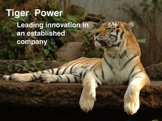 Leading innovation in
an established
company
Tiger Power
 