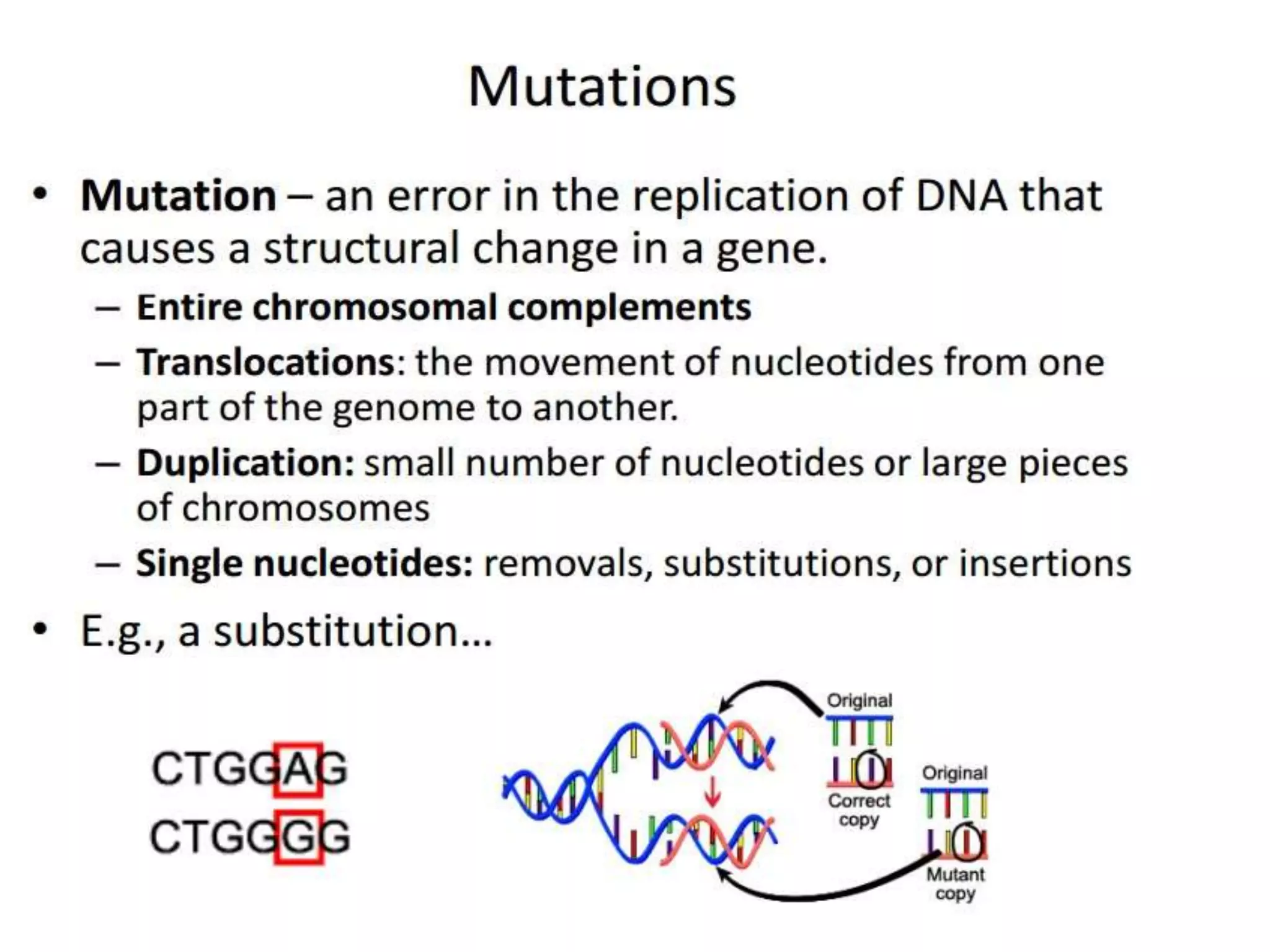 Intraspecific variation