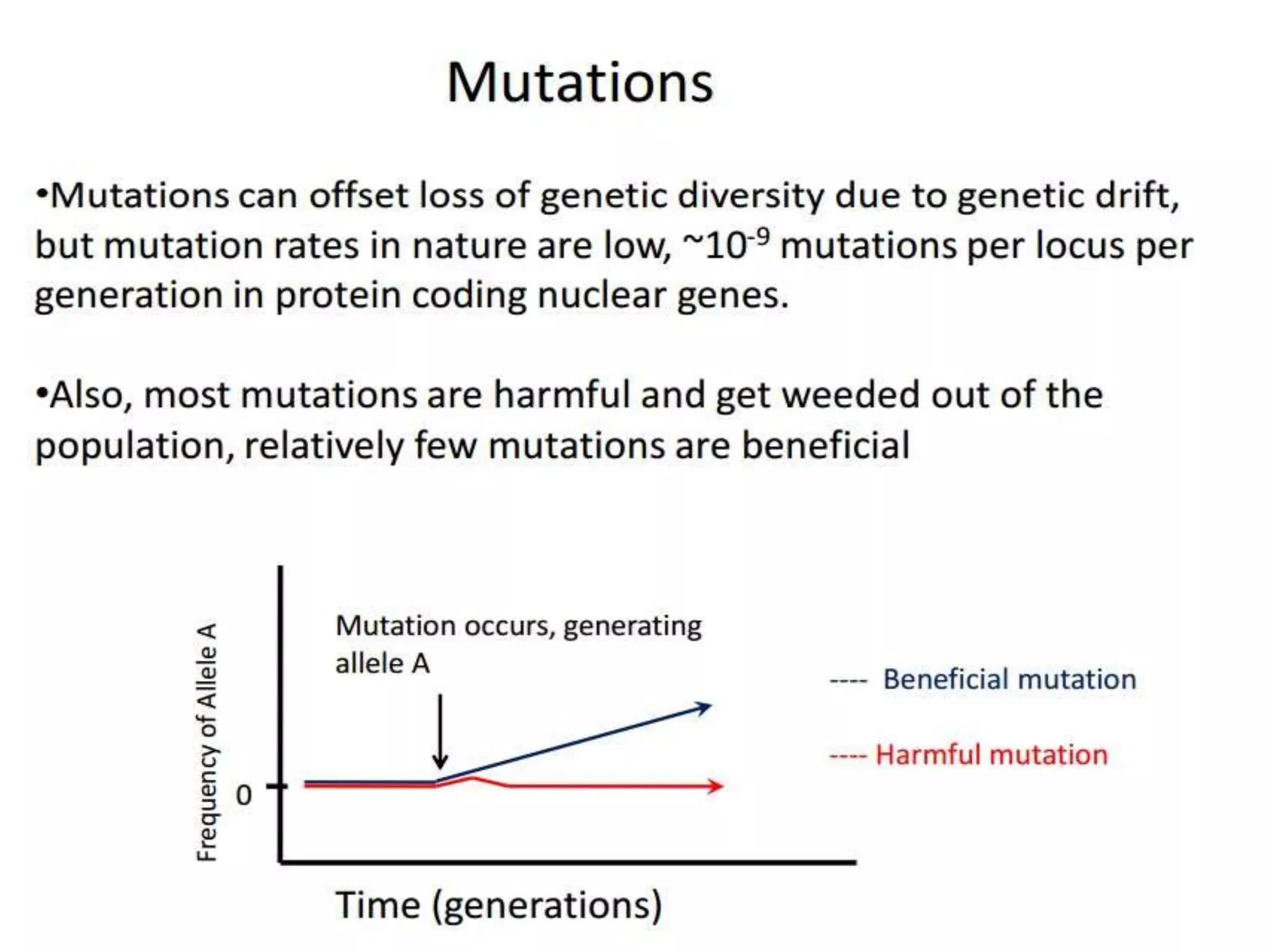 Intraspecific variation