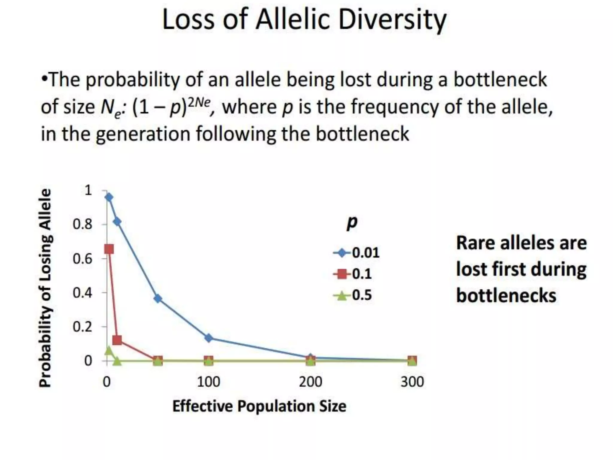 Intraspecific variation