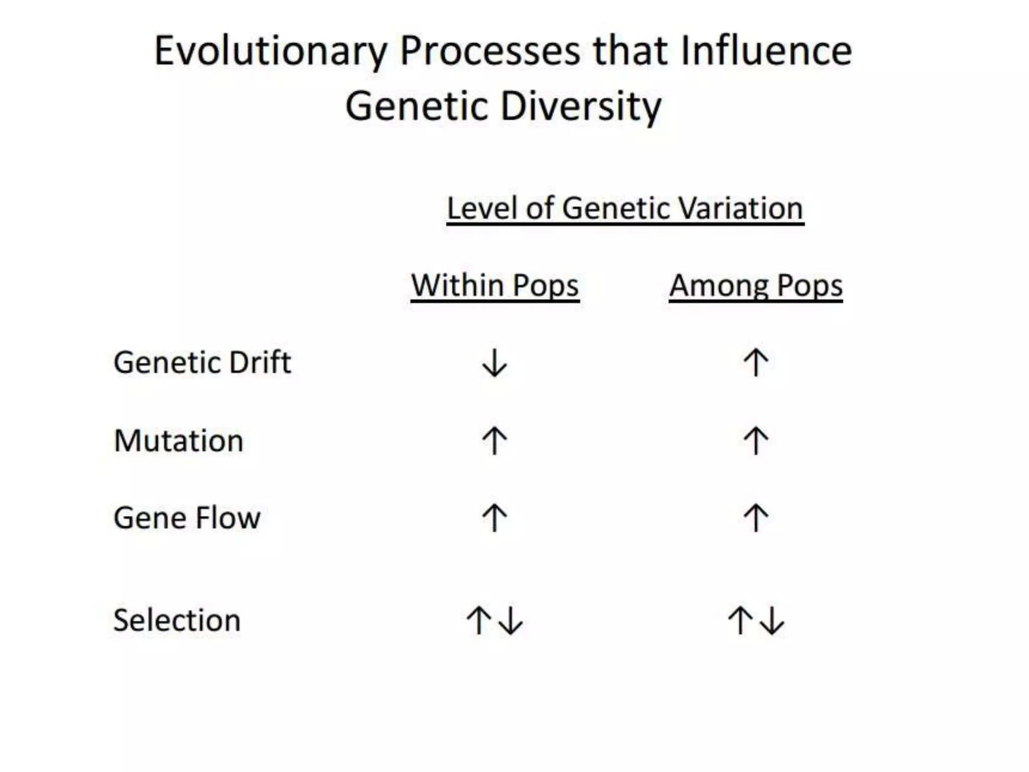 Intraspecific variation