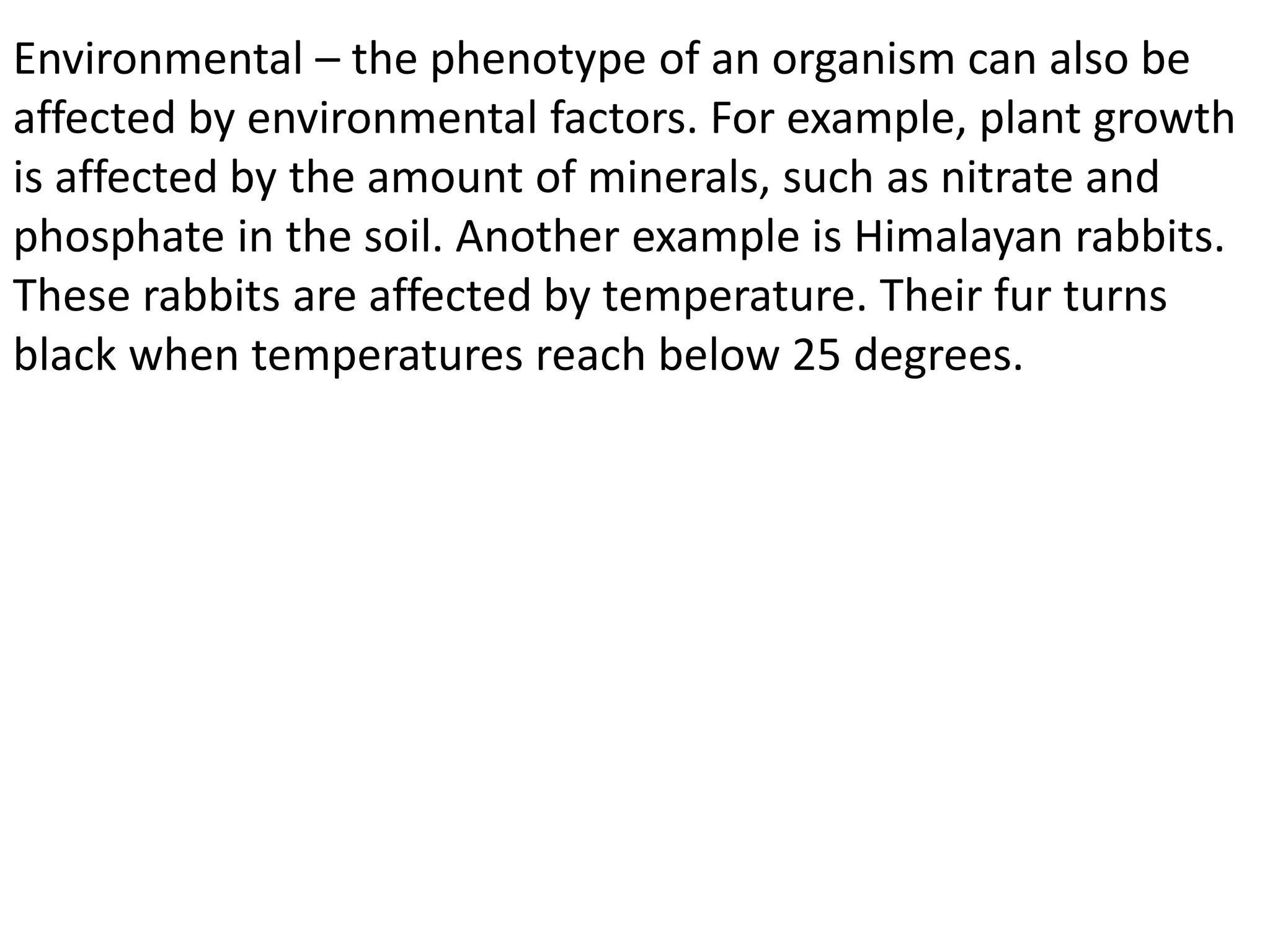 Environmental – the phenotype of an organism can also be
affected by environmental factors. For example, plant growth
is affected by the amount of minerals, such as nitrate and
phosphate in the soil. Another example is Himalayan rabbits.
These rabbits are affected by temperature. Their fur turns
black when temperatures reach below 25 degrees.
 