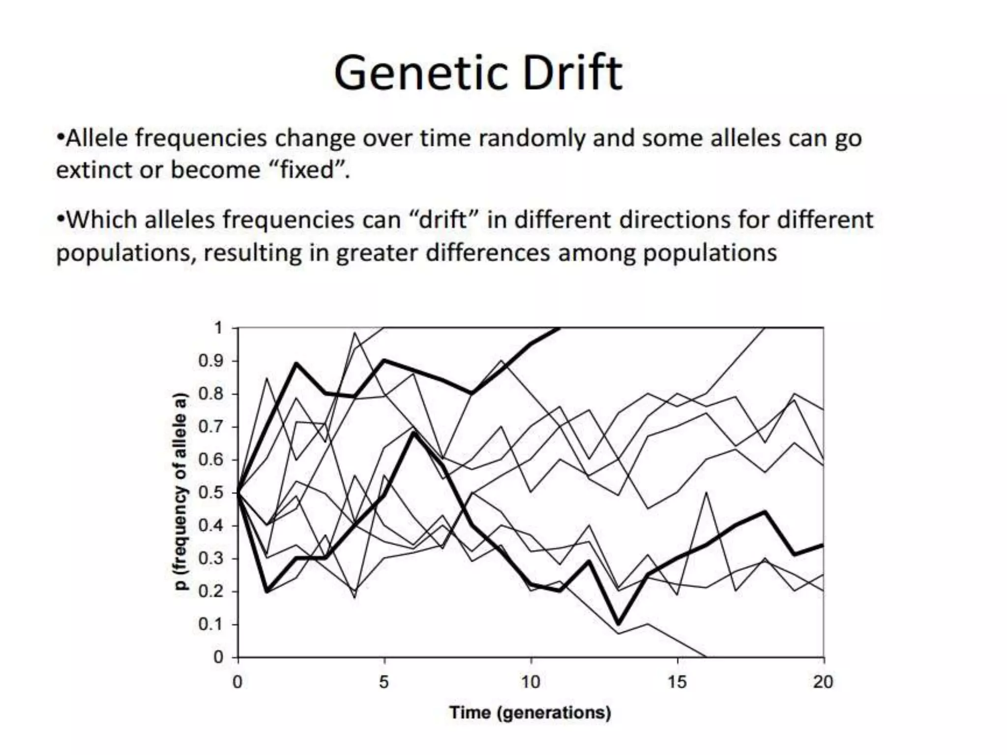 Intraspecific variation