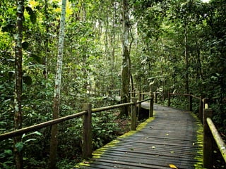 Wikis i perspektiv - deltagelseskultur og videndeling i og omkring virksomheder.