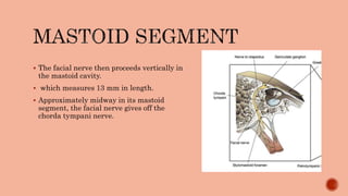 Intratemporal course ofnerve PPTX