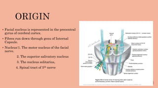 Intratemporal course ofnerve PPTX