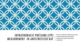 INTRATHORACIC PRESSURE (ITP)
MEASUREMENT IN ANESTHETIZED RAT
Pressure catheter diaphragm-access
measurements during invasive
volume-controlled mechanical
ventilation
 