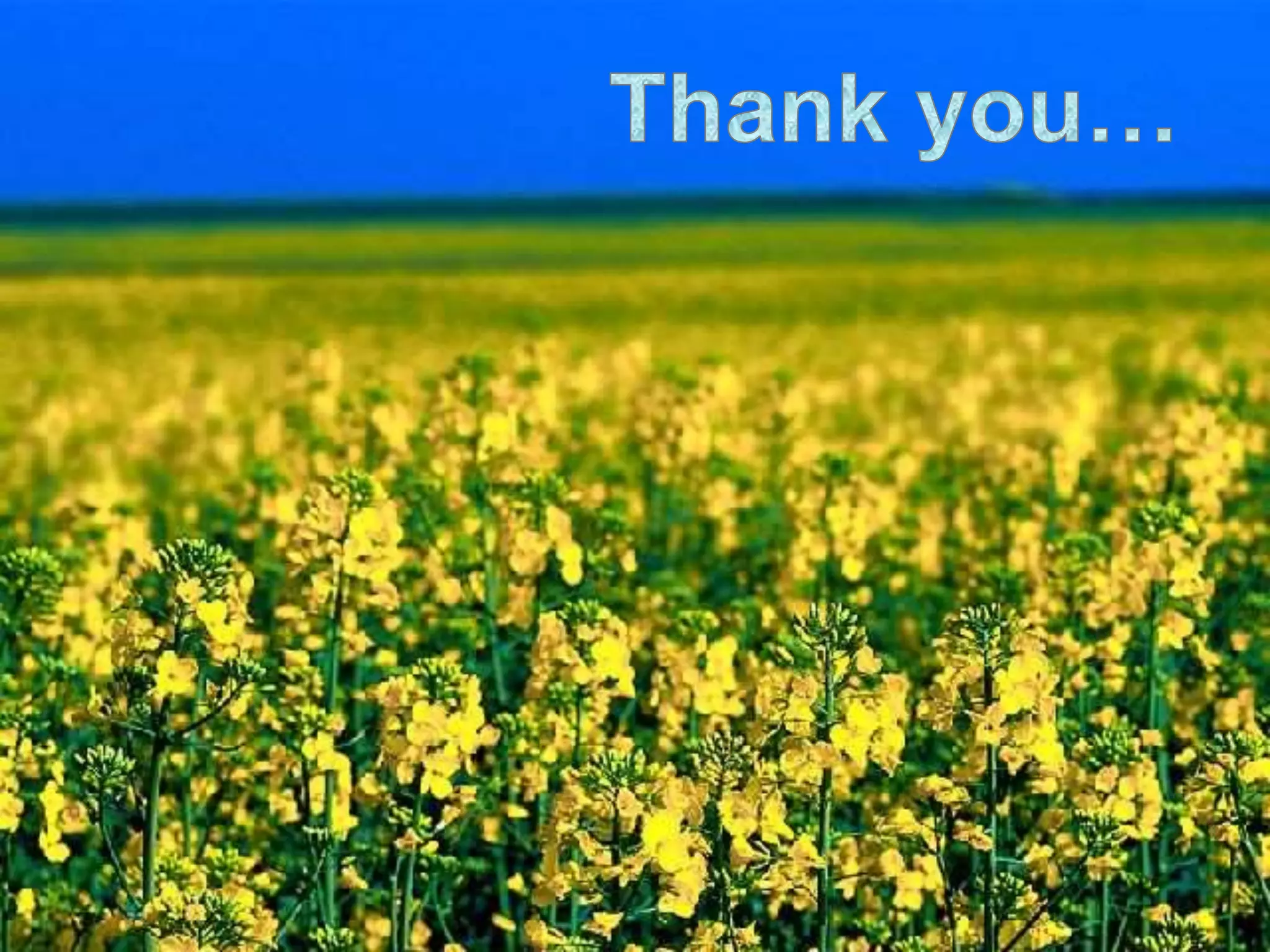 INTRAUTERINE DRUG DEVICES.ppt