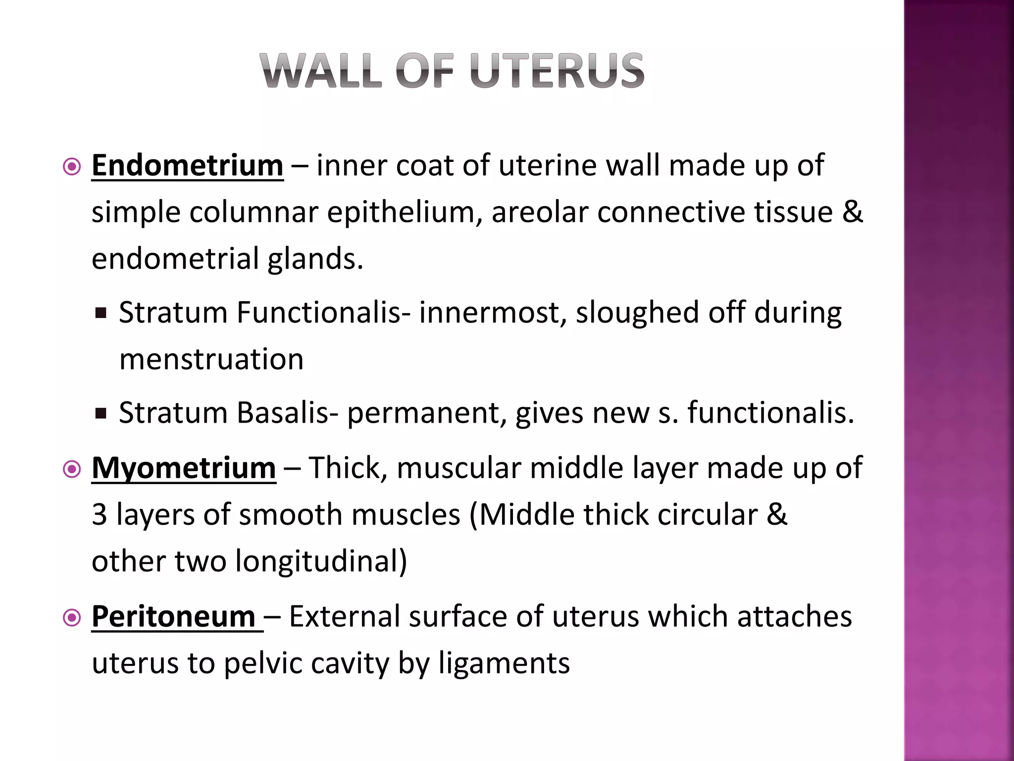  Endometrium – inner coat of uterine wall made up of
simple columnar epithelium, areolar connective tissue &
endometrial glands.
 Stratum Functionalis- innermost, sloughed off during
menstruation
 Stratum Basalis- permanent, gives new s. functionalis.
 Myometrium – Thick, muscular middle layer made up of
3 layers of smooth muscles (Middle thick circular &
other two longitudinal)
 Peritoneum – External surface of uterus which attaches
uterus to pelvic cavity by ligaments
 