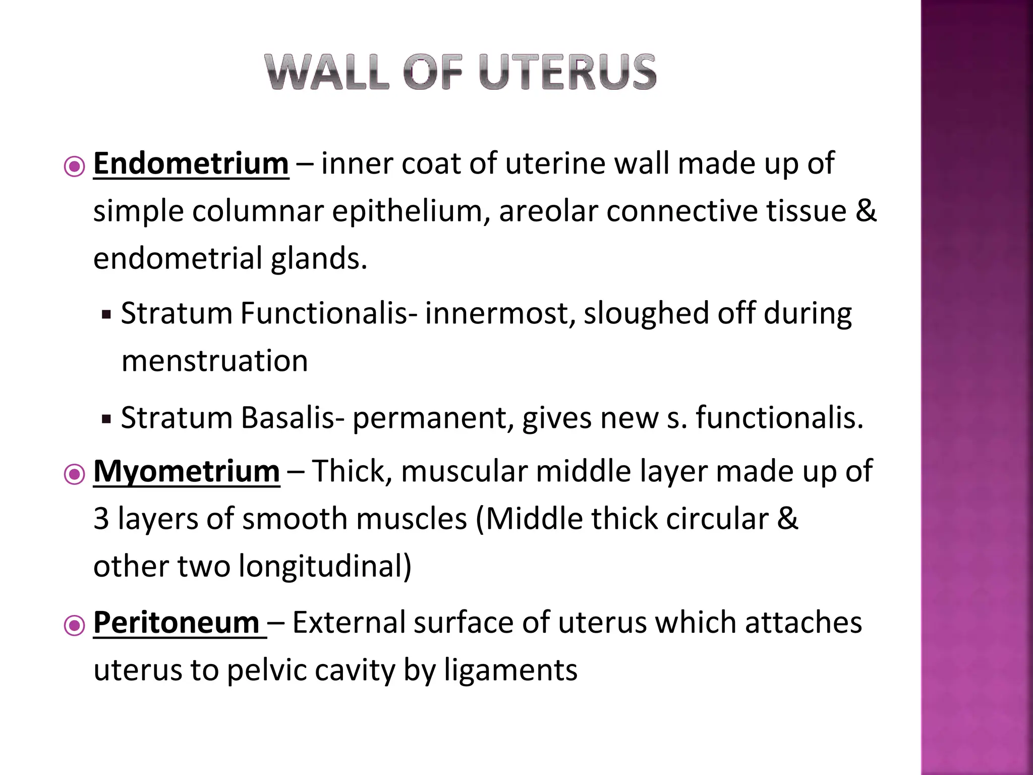 ⦿ Endometrium – inner coat of uterine wall made up of
simple columnar epithelium, areolar connective tissue &
endometrial glands.
◾Stratum Functionalis- innermost, sloughed off during
menstruation
◾Stratum Basalis- permanent, gives new s. functionalis.
⦿ Myometrium – Thick, muscular middle layer made up of
3 layers of smooth muscles (Middle thick circular &
other two longitudinal)
⦿ Peritoneum – External surface of uterus which attaches
uterus to pelvic cavity by ligaments
 