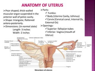 intrauterinedrugdevices IUDs or intrauterine devices | PPTX