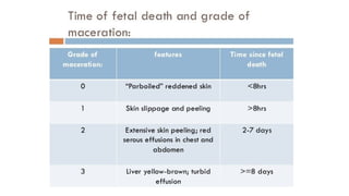 Comprehensive Overview of Intrauterine Fetal Death (IUFD): Definition ...