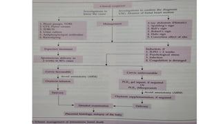 Comprehensive Overview of Intrauterine Fetal Death (IUFD): Definition ...