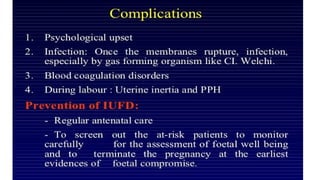 Comprehensive Overview of Intrauterine Fetal Death (IUFD): Definition ...