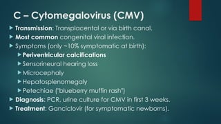 Comprehensive Overview of Intrauterine Infections and Their Impact on ...