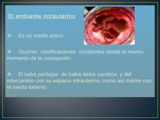     El ambiente intrauterino        Es un medio activo        Ocurren  modificaciones  constantes desde el mismo momento de la concepción        El bebé participa  de todos estos cambios, y del  intercambio con su espacio intrauterino, como así mismo con el medio externo 