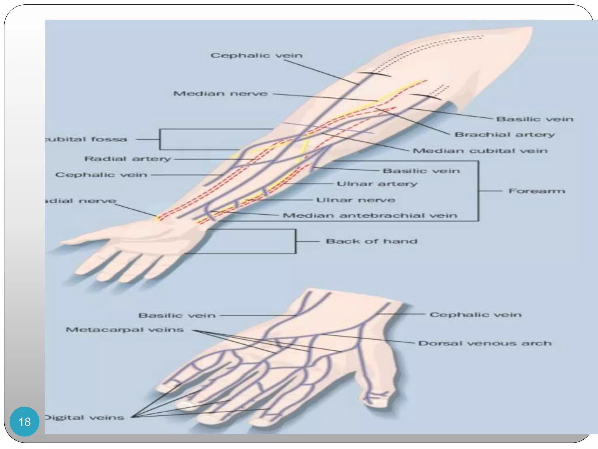 INTRAVENOUS CANNULATION PROCEDURE.pptx