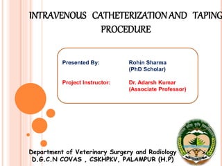 Presented By: Rohin Sharma
(PhD Scholar)
Project Instructor: Dr. Adarsh Kumar
(Associate Professor)
INTRAVENOUS CATHETERIZATIONAND TAPING
PROCEDURE
Department of Veterinary Surgery and Radiology
D.G.C.N COVAS , CSKHPKV, PALAMPUR (H.P)
 