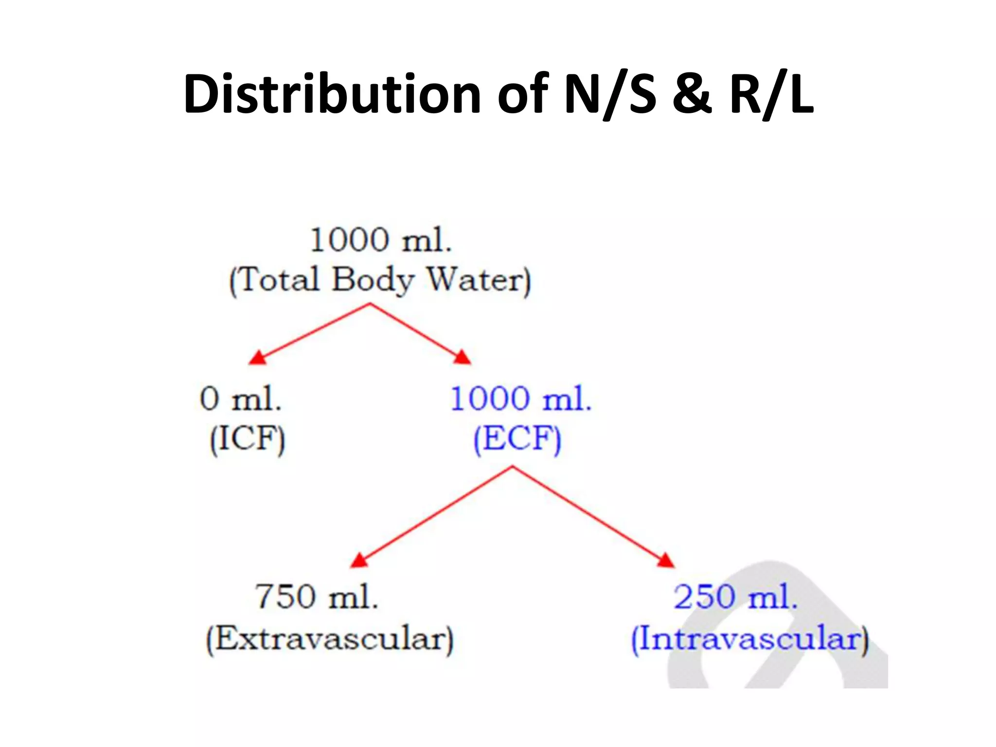 Distribution of N/S & R/L
 