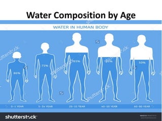 Water Composition by Age
 