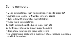 Some numbers
• Men’s kidneys longer than women’s kidneys due to larger BSA
• Average renal length = 3-4 lumbar vertebral bodies
• Right kidney 0.5 cm smaller than left kidney
• To say that a kidney is large:
1. Right kidney should be 0.5 cm larger than left
2. Left kidney should be 0.5 cm larger than right
• Respiratory excursion can occur upto 1-4 cm
• So, urograms are best done in expiratory phase, because inspiration
can kink the ureters
 