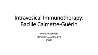 Intravesical Immunotherapy:
Bacille Calmette-Guérin
Dr Rojan Adhikari
FCPS II Urology Resident
SDNTC
 