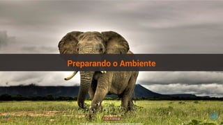 Preparando o Ambiente 
Fonte da Imagem: https://www.flickr.com/photos/dedeandro/8214337320 
 