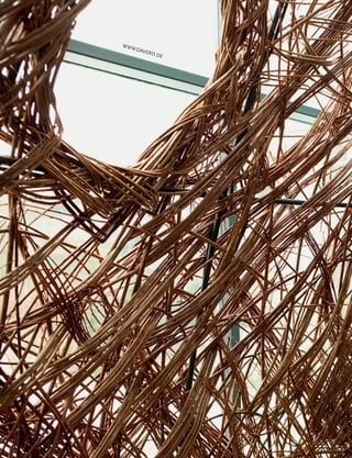 WWW
   .DAV
          ERO
                .DE
 