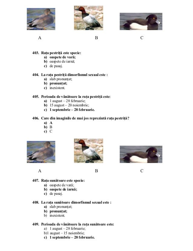 Intrebari examen-vanator