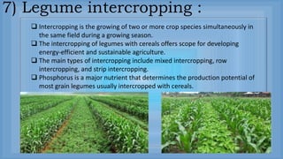 7) Legume intercropping :
 Intercropping is the growing of two or more crop species simultaneously in
the same field during a growing season.
 The intercropping of legumes with cereals offers scope for developing
energy-efficient and sustainable agriculture.
 The main types of intercropping include mixed intercropping, row
intercropping, and strip intercropping.
 Phosphorus is a major nutrient that determines the production potential of
most grain legumes usually intercropped with cereals.
 