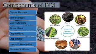 Organic Manures
Vermi-compost
Green Manuring
Bio-fertilizers
Crop residues
Crop rotation
Legume intercropping
Chemical fertilizers
 