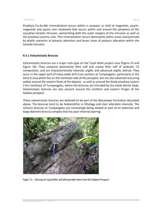 Stockwork On Rocks Tumpengan Tumpang Pitu | PDF