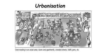 Urbanisation
 