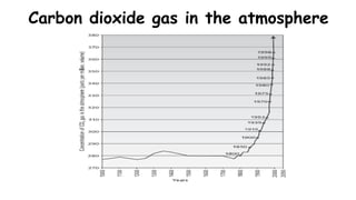 Carbon dioxide gas in the atmosphere
 