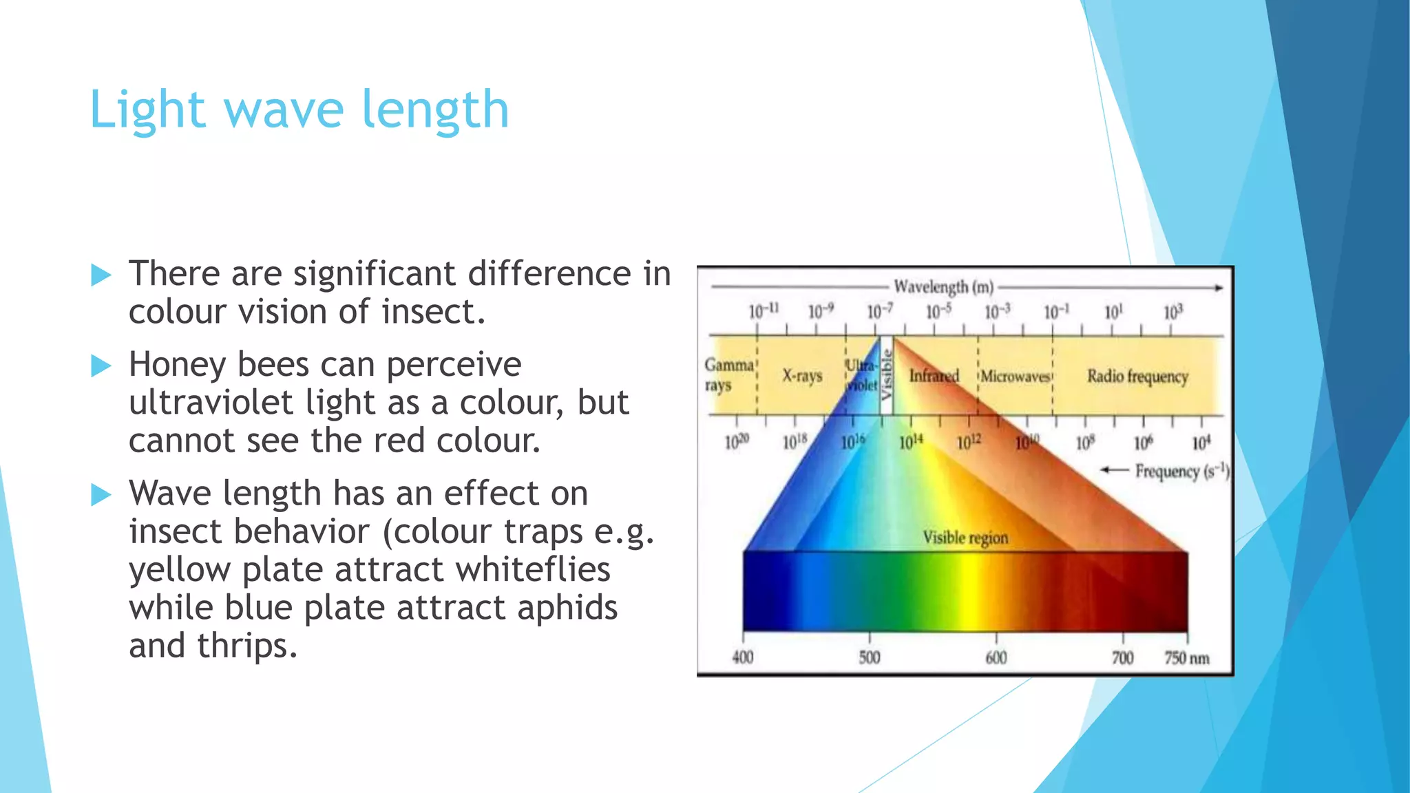 Light wave length
 There are significant difference in
colour vision of insect.
 Honey bees can perceive
ultraviolet light as a colour, but
cannot see the red colour.
 Wave length has an effect on
insect behavior (colour traps e.g.
yellow plate attract whiteflies
while blue plate attract aphids
and thrips.
 