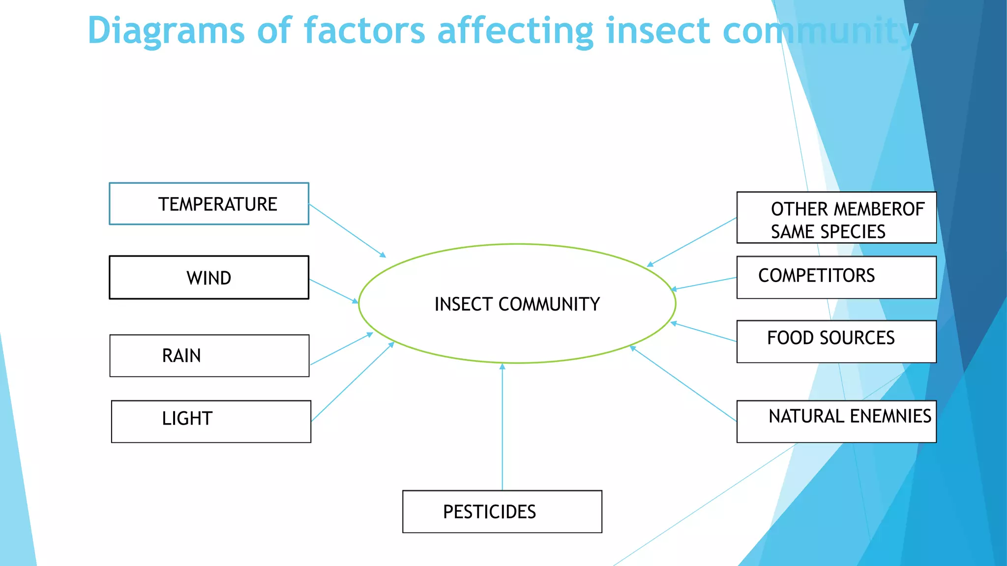 Diagrams of factors affecting insect community
teTEMPERATURE
RAIN
LIGHT
PESTICIDES
INSECT COMMUNITY
OTHER MEMBEROF
SAME SPECIES
COMPETITORS
FOOD SOURCES
NATURAL ENEMNIES
WIND
 
