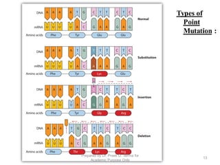 Intrinsic factors part 2 Brief | PDF