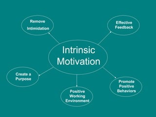 Intrinsic Motivation Remove  Intimidation Create a Purpose Positive Working Environment Promote Positive Behaviors Effective Feedback 